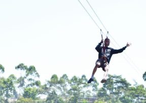 FLYING FOX